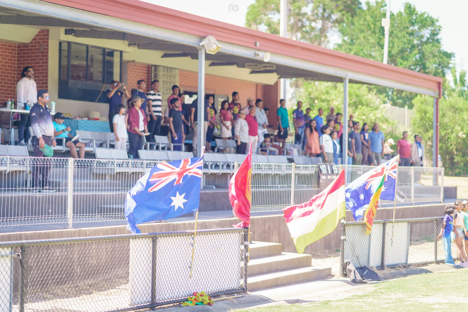 Cricket Match 9
